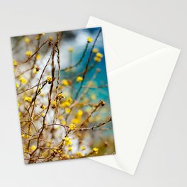 Yellow Spring Flowers in Big Sur Stationery Cards
