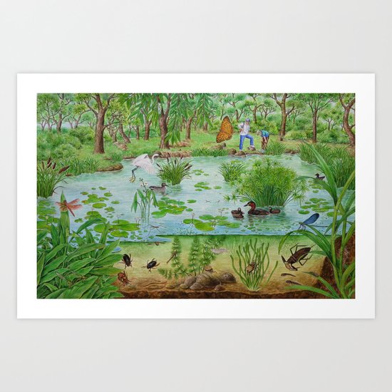 A Day of Forest (4). (the lake ecosystem) Art Print