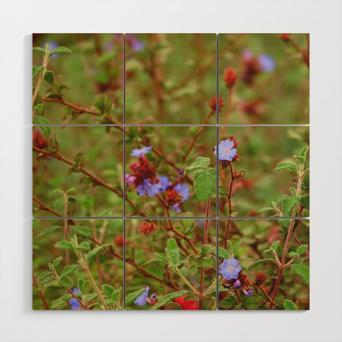 Vintage Wildflowers Meadow - Nature Photography in France Wood Wall Art