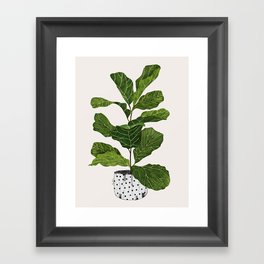 Fiddle leaf fig Tree Framed Art Print