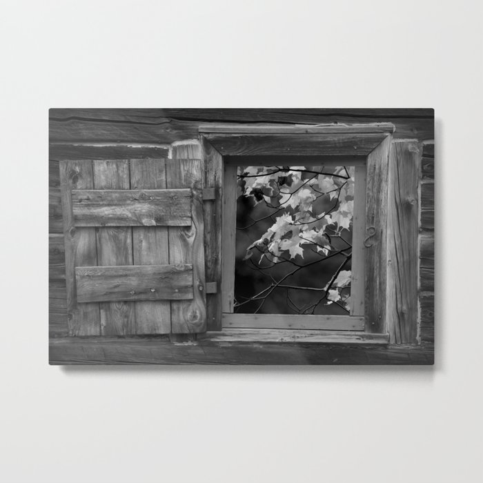 Fall Leaves viewed through a Barn Window in Black and White Metal Print