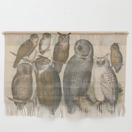 Naturalist Owls Wall Hanging