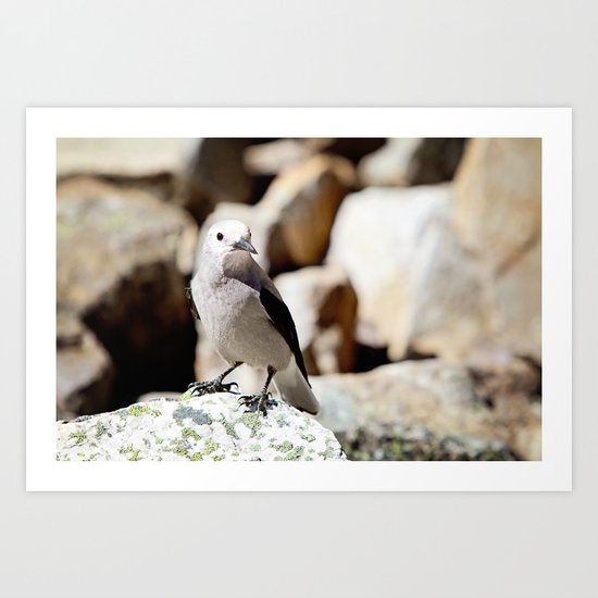 I'm bird and I'm happy Art Print