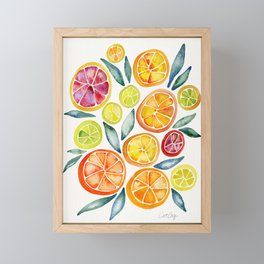 Sliced Citrus Watercolor Framed Mini Art Print