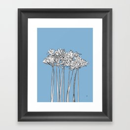 Resurrection Lilies  - Blue Framed Art Print