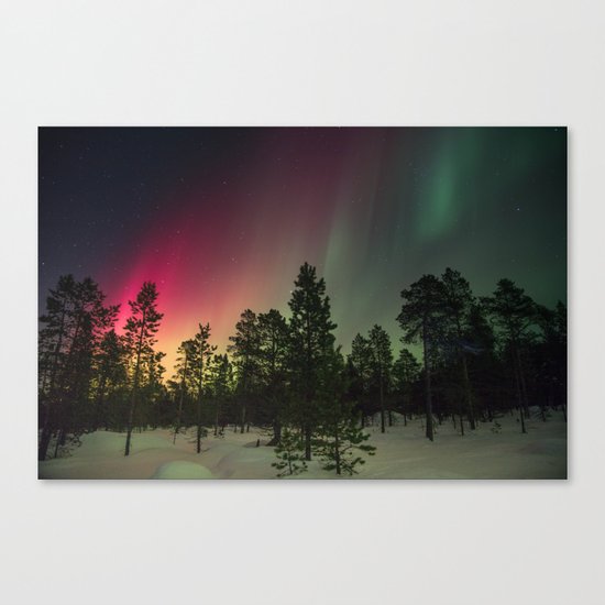Northern Lights Canvas Print