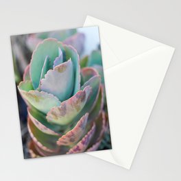 Soft ucculent Tower Stationery Cards