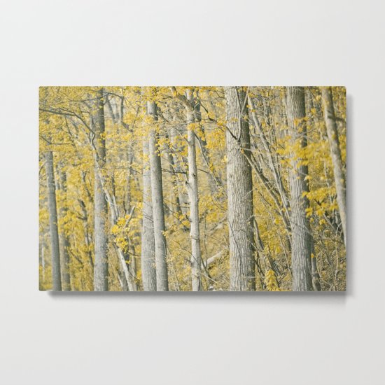 Amber Forest Metal Print