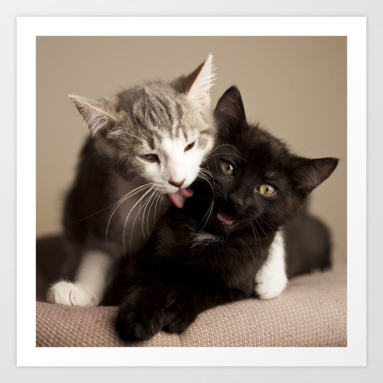 Brothers Art Print