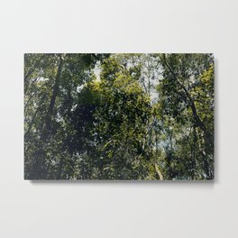 Up At The Trees Metal Print | Greatoutdoors, Roots, Oak, Mood, Jungle, Tranquil, Photo, Calm, Canadianforest, Leaves 