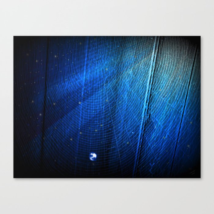 Raindrop on Blue Web Canvas Print