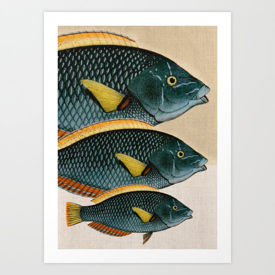 Fish Classic Designs 10 Art Print