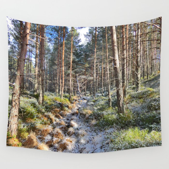 Woods tapestry 2025