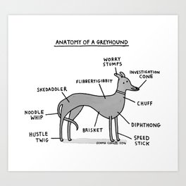 Anatomy of a Greyhound Art Print