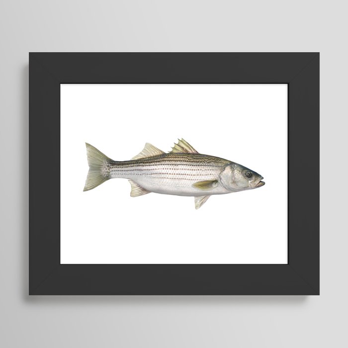 Framed Art Print