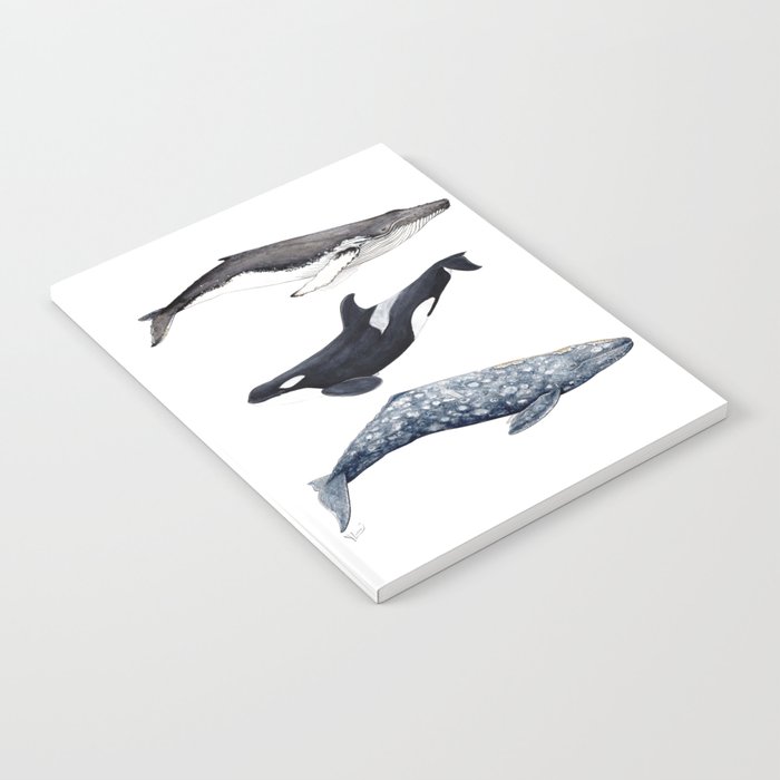 Orca, humpback and grey whales Notebook