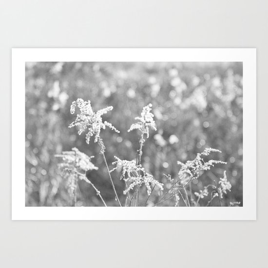 Winter in the Prairie Art Print