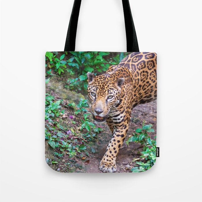 Jungle walking jaguar, Guatemala Tote Bag