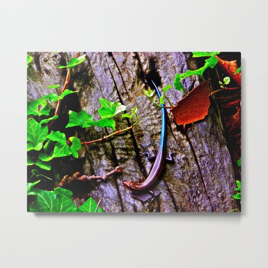 Heading Down Metal Print