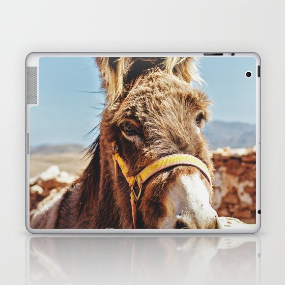 Donkey photo Laptop & iPad Skin