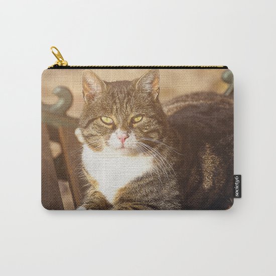 Cute cat relaxing in the sun on old bench Carry-All Pouch