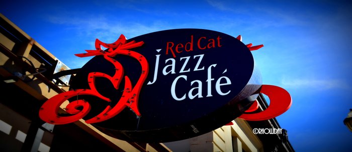 Red Cat Jazz Coffee Mug By Rachaelholliday Society6