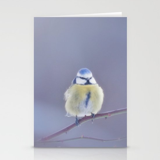 BIRD Stationery Cards