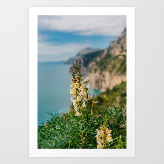 Amalfi Coast Blooms Art Print