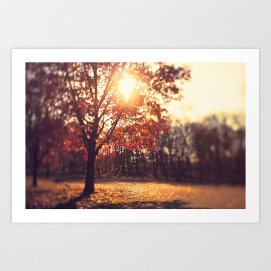 Autumn Sun Art Print