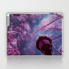 Fairy tale spring; cherry blossom tree canopy in the park at sunrise color magical realism portrait photograph / photography Laptop Skin