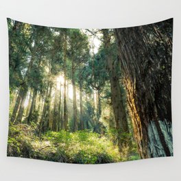 morning sunshine in the forest Wall Tapestry