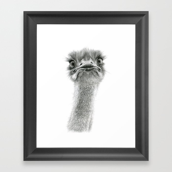 Cute Ostrich SK053 Framed Art Print