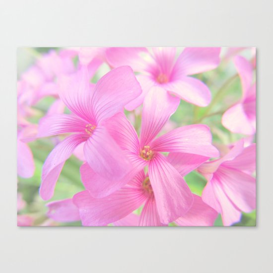 Coral Pink Petals Canvas Print