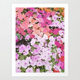 Colorful Impatiens Flowers Art Print
