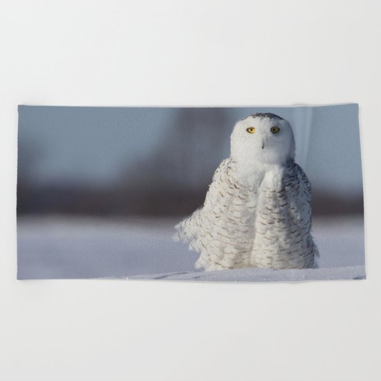 Saint Snowy Beach Towel