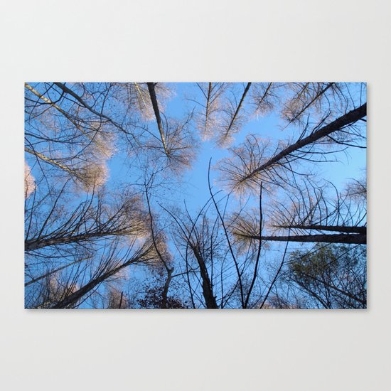 Glowing trees II Canvas Print