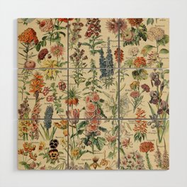 French Vintage Flowers Chart Adolphe Millot Fleurs Larousse Pour Tous Funky Cozy Boho Maximalist Wood Wall Art