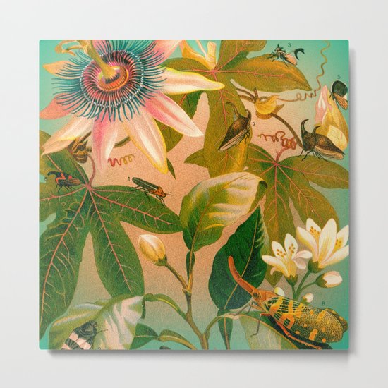 Passion Flower with Bugs Metal Print