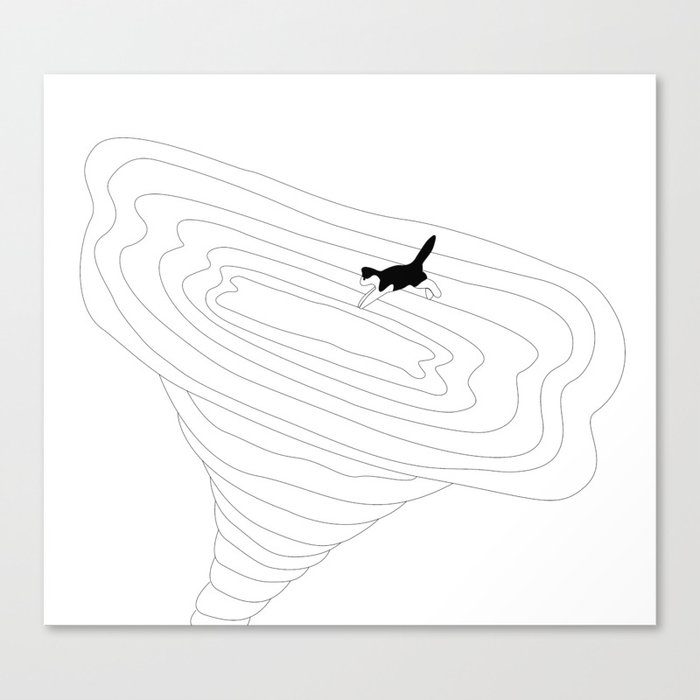 Cat jump in the tornado Canvas Print