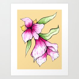 Pink Orchid Art Print
