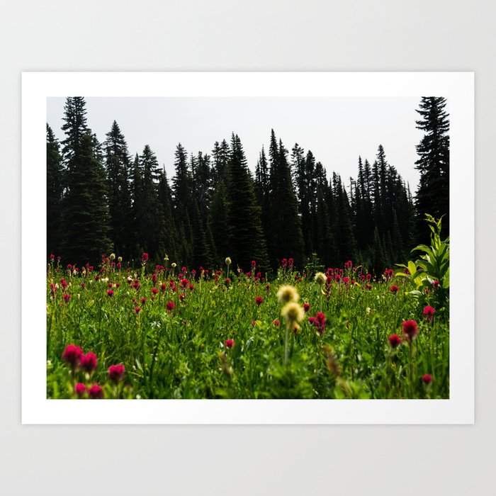Mount Rainier Wildflower Adventure III - Pacific Northwest Mountain Forest Wanderlust Art Print