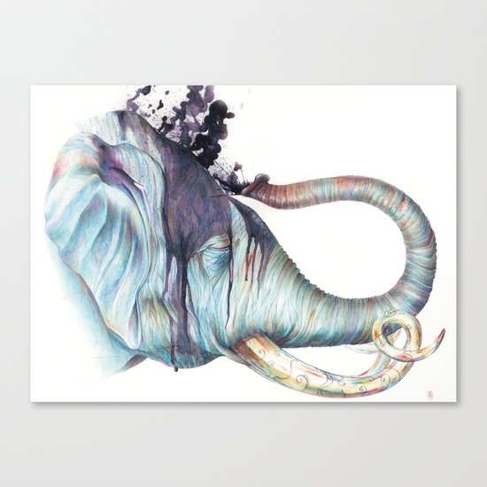 Elephant Shower Canvas Print