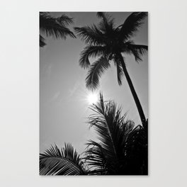 Palm tree black and white | tropical boho Thailand island photography | nature travel photo print Canvas Print