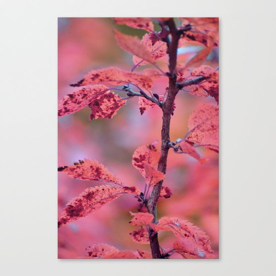 #17 Canvas Print