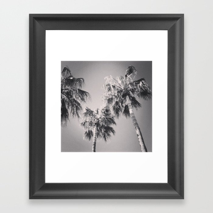 3 Palms Black & White Framed Art Print