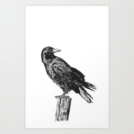 Perched Crow Art Print