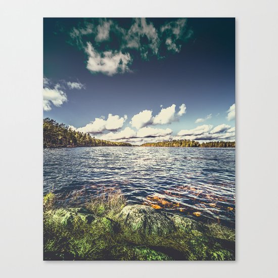 End of the road Canvas Print