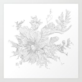 Mount Rainier, WA Contour Map In White Art Print