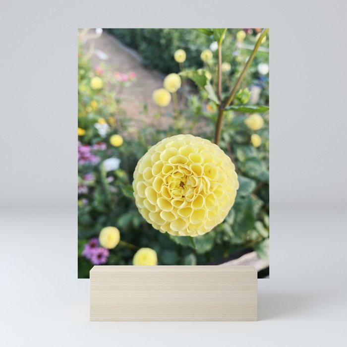 Yellow Patterns Mini Art Print