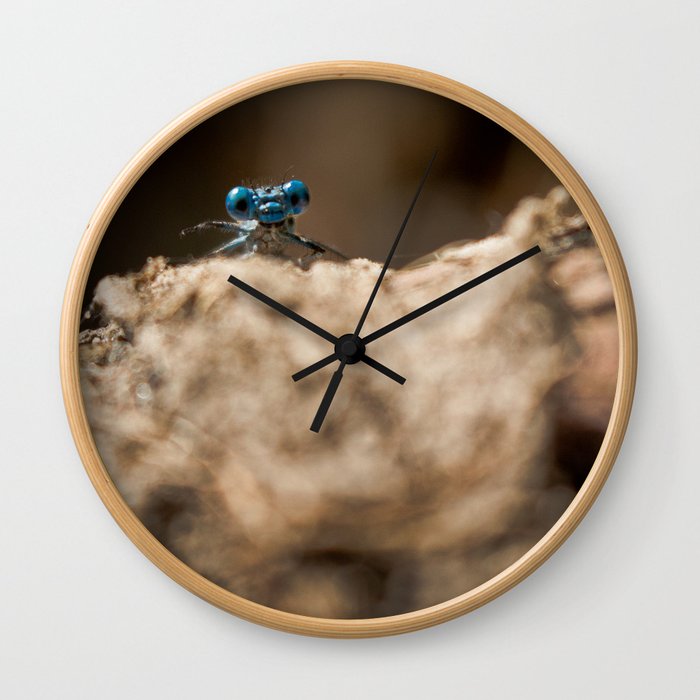 Libelula Azul, Blue Libelula Wall Clock